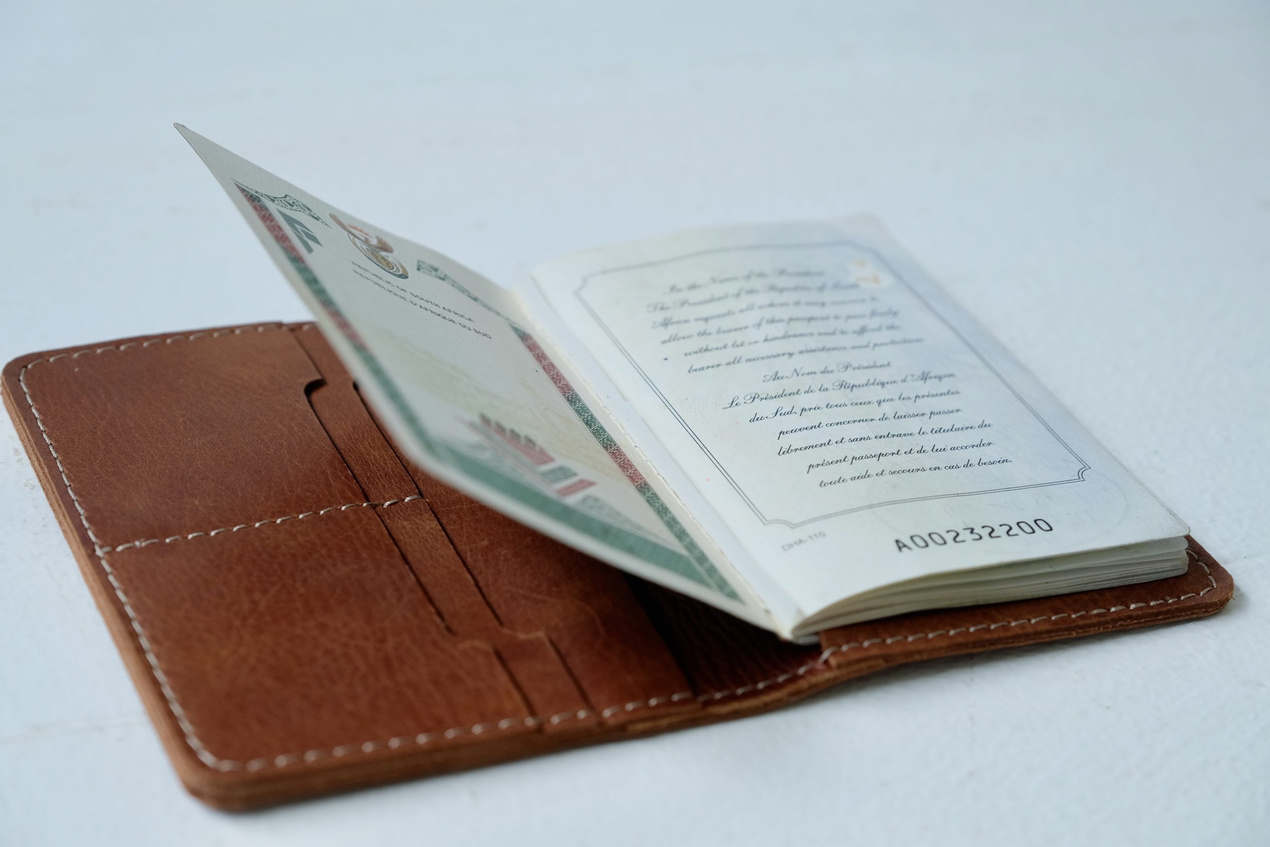 My First Passport - Passport Holder - Smitten On Design